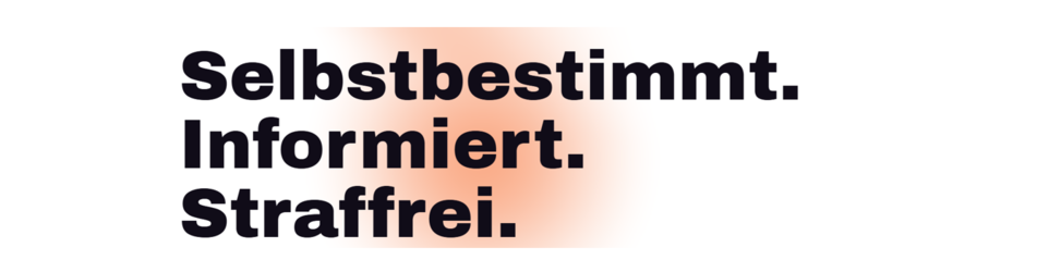 Homepage Fristenlösung